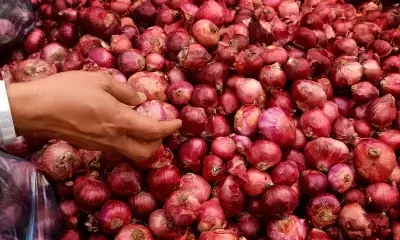 CM Shinde orders stern action against hoarding of onions amid rising prices