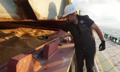 Ukraines grain, oilseeds harvest exceeds 70 million tonnes