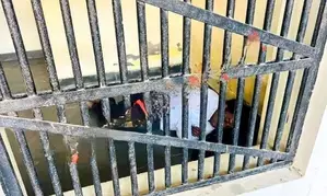 Slapping incident: Naresh Meena sent to Tonk jail amid tight security