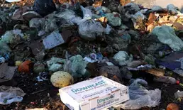 Food waste crisis fuels sustainable practices across APAC food &  beverage industry: Report