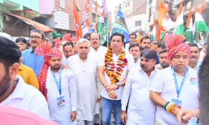 Gahlot resignation: Delhi Congress calls AAP a sinking ship