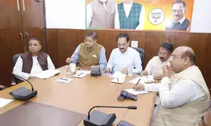 BJP panel to draft poll charge sheet against AAP govt in Delhi