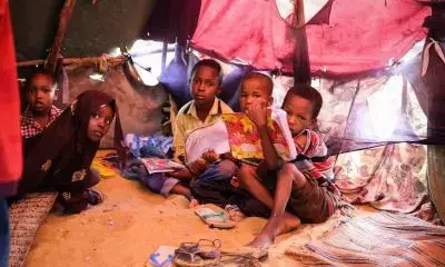 Over 420,000 people displaced in Somalia in 10 months: UNHCR