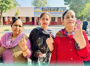 Punjabs high-stake Gidderbaha seat sees highest voter turnout of 79 pc
