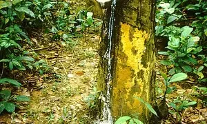 Cambodia earns $472 million from rubber latex exports in 10 months