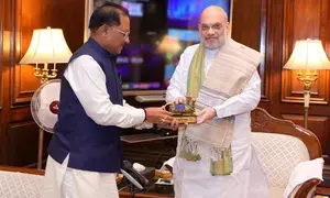 Chhattisgarh CM Sai briefs HM Amit Shah on progress in Maoist-affected areas