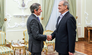 Iran, IAEA emphasise dialogue, interaction to resolve differences