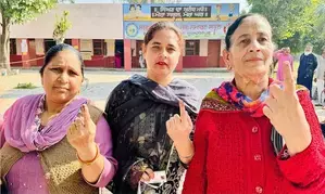 Punjabs high-stake Gidderbaha seat sees highest voter turnout of 79 pc