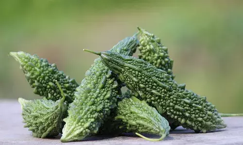 Bitter Gourd: A Natural Remedy for Health and Healing