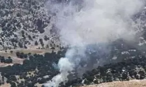 Turkey neutralises five Kurdish militants in Syria