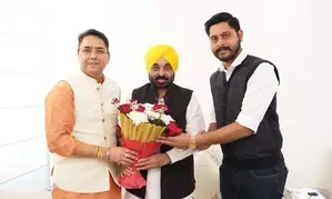 AAP appoints two-time legislator Arora as Punjab chief (Ld)