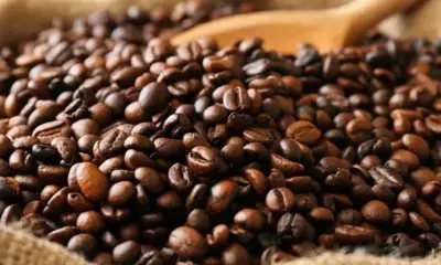 Ethiopia launches national coffee platform to maximise earnings