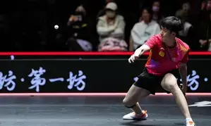 Chinese paddlers experience mixed fortunes at 2024 WTT Finals