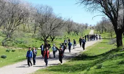 Uzbekistan exports 1.7 billion USD in food products in first 10 months of 2024