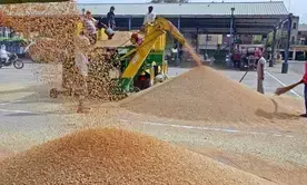 MP: Farmers protest over shortage of fertilizer