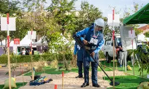 Cambodia turns former minefields into fertile grounds for farming