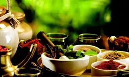 Indian traditional medicine takes center stage at global conference