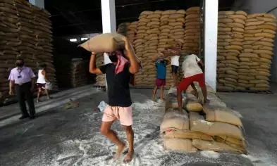 Centre to offload 25 lakh tonnes of wheat in open market to bring down price