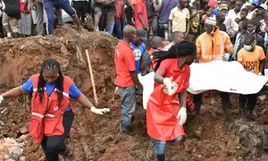 Death toll in eastern Uganda mudslide rises to 20: police