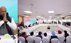 Even after poll setbacks, CWC backs Rahuls push for caste census and reservation reforms