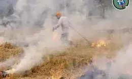 Punjab Witnesses 70% Drop in Farm Fires This Kharif Season