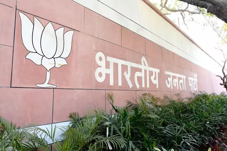 BJP Appoints Two Central Observers for Maharashtra CM Selection; Know Who are Appointed BJP Appoints Two Central Observers for Maharashtra CM Selection; Know Who are Appointed