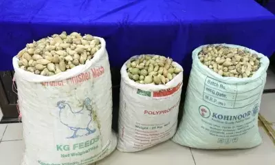 Truck with over 200 kg poppy straw seized in J&K’s Udhampur