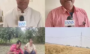 Bihar: PM-KISAN scheme becomes lifeline for Rohtas farmers