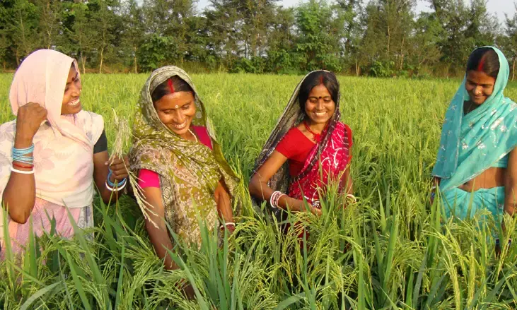 Integrated Cooperative Development Project Aims to Strengthen Bihar’s Rural Economy