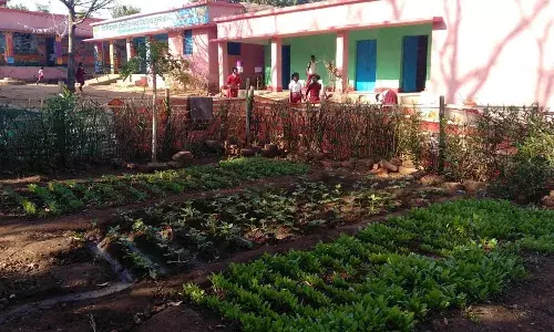 Bihar to Establish Nutrition Gardens in Government Schools to Combat Malnutrition