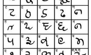 Efforts underway to grant state status to Rajasthani language: Official