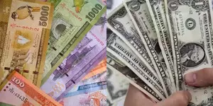Sri Lankan Rupee appreciates against USD by 11.5 pc