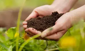 Rwanda launches agriculture strategy to build resilient, sustainable agri-food systems