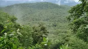 Tiruvannamalai landslide: Expert panel to decide whether devotees can climb Annamalai hills