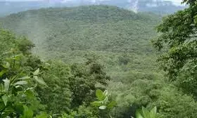 Tiruvannamalai landslide: Expert panel to decide whether devotees can climb Annamalai hills