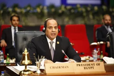 Egypt slams Israel for seizing buffer zone with Syria