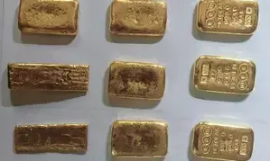 BSF seizes gold valued at Rs 1.28 crore close to Indo-B’desh border, smuggler arrested