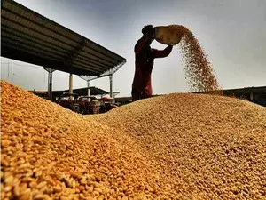 Centre cuts wheat stock limit for traders in move to ease prices