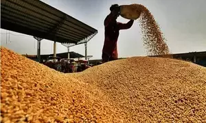 Centre cuts wheat stock limit for traders in move to ease prices