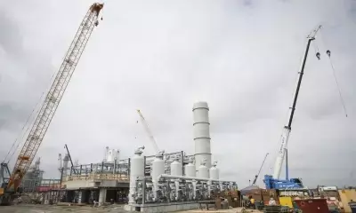 Indonesia to build 1.2-bln-USD methanol plant in East Java