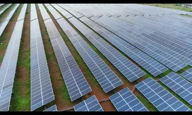 India’s renewable energy capacity logs 14.2 pc growth at 213.7 GW