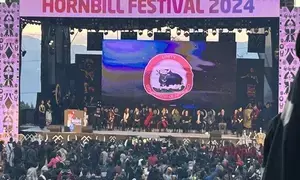 Iconic Hornbill Festival has elevated states reputation on global stage: Nagaland CM