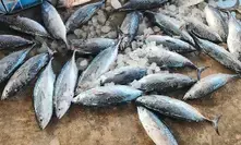 Centre approves Rs 59 crore plan for Tuna fish exports from Andaman