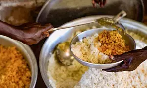 WFP secures $118 million to help displaced families in Africa