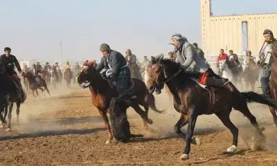 Buzkashi - a traditional sport uniting Afghans