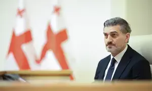 Mikheil Kavelashvili is new Georgian President