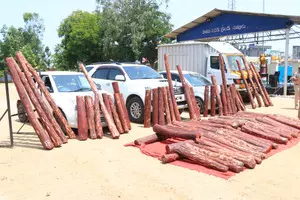 Red sanders smuggling continuing unabated under NDA rule, says YSRCP