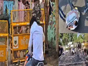 Bhubaneswar: Bees attack Cong workers during protest against IAS officer