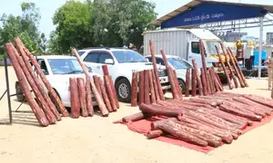 Red sanders smuggling continuing unabated under NDA rule, says YSRCP