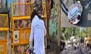 Bhubaneswar: Bees attack Cong workers during protest against IAS officer